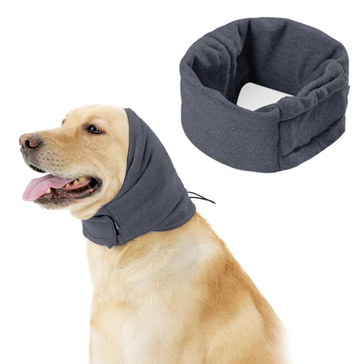 Dog Earmuffs For Hearing Protection Of Thunder Fireworks